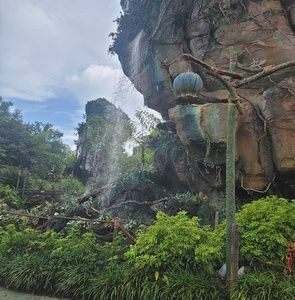 Meet your Posher, Mackenzie